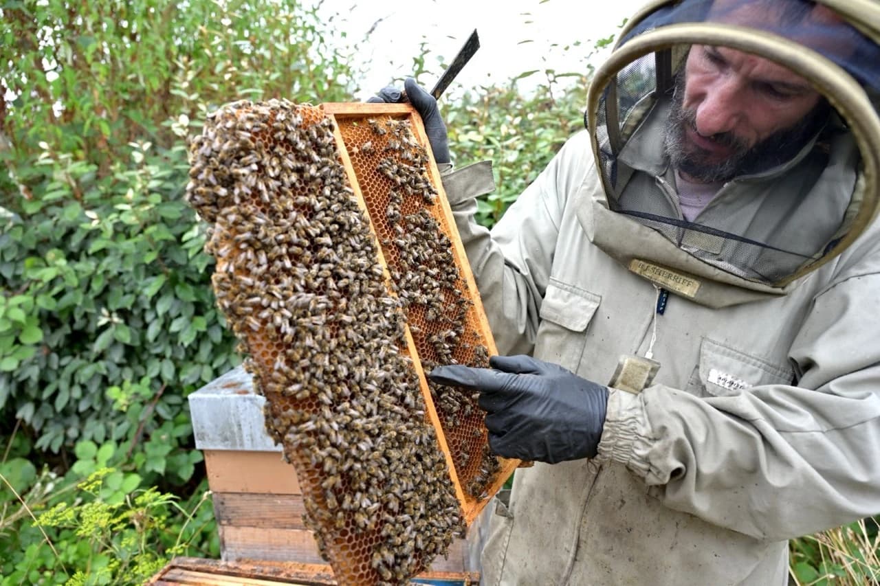 CEDRE environmental actions