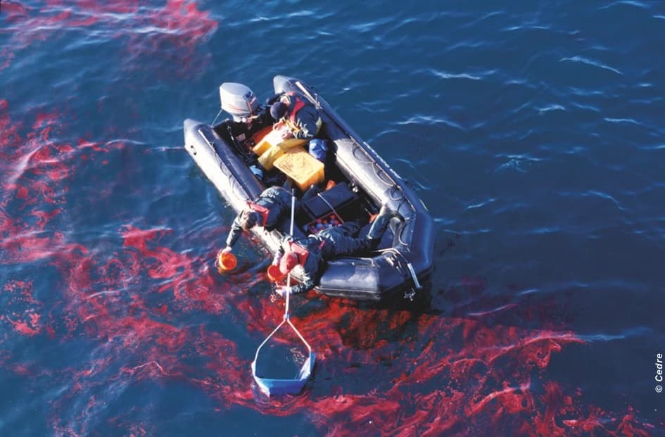 CEDRE CSR commitment