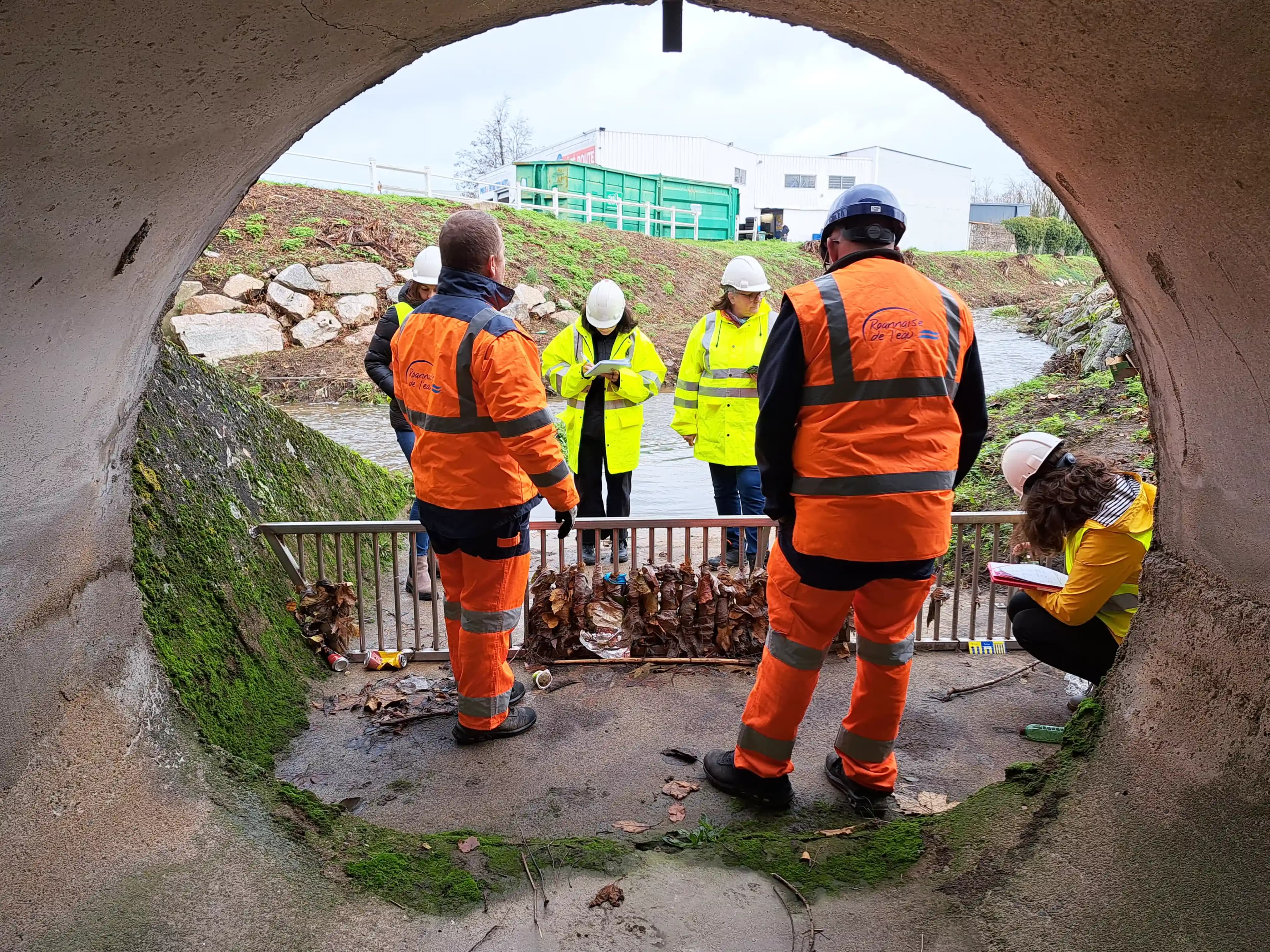 Services to reduce chronic litter