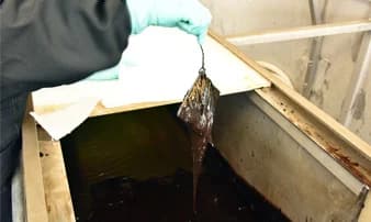 Analyses and testing